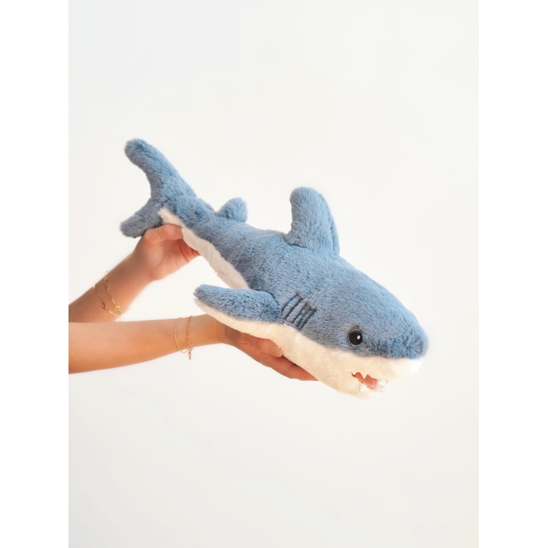 Seaborn Shark
