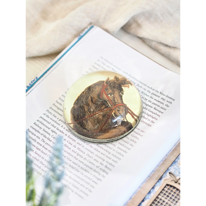 Terre a Terre a Droite (Horseman) Dome Paperweight