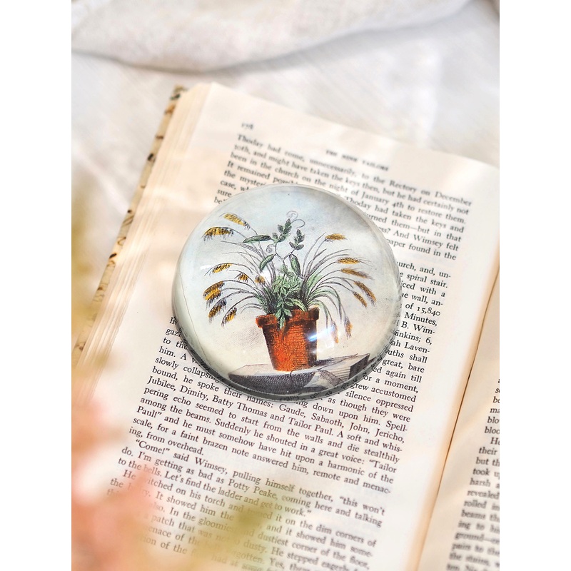 Wheat Dome Paperweight