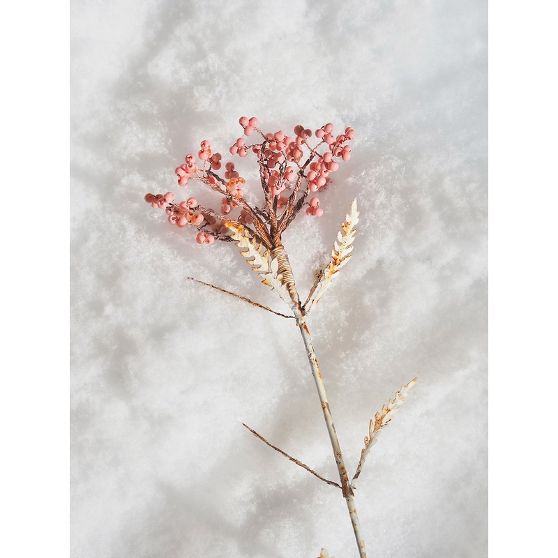 Everlasting Flower Stem