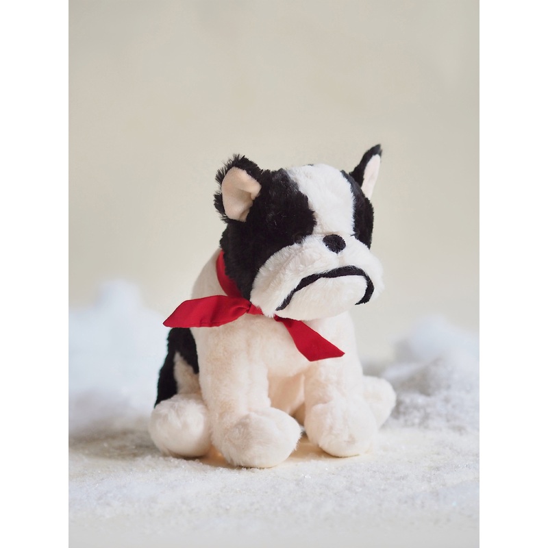 Francois the French Bulldog