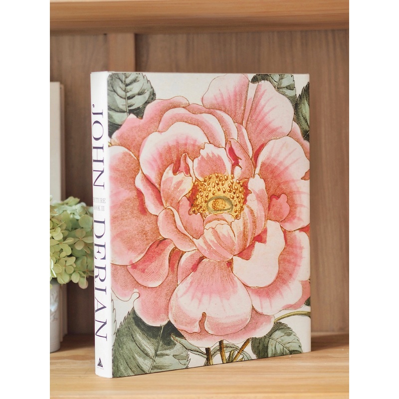 John Derian Picture Book II