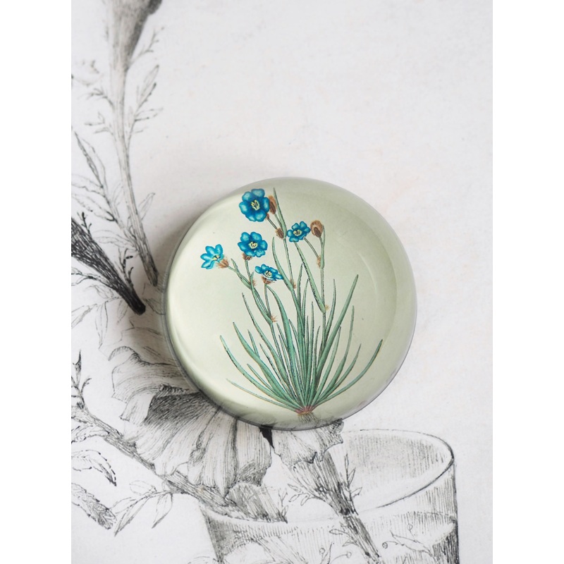 Aristia Oyanea Dome Paperweight