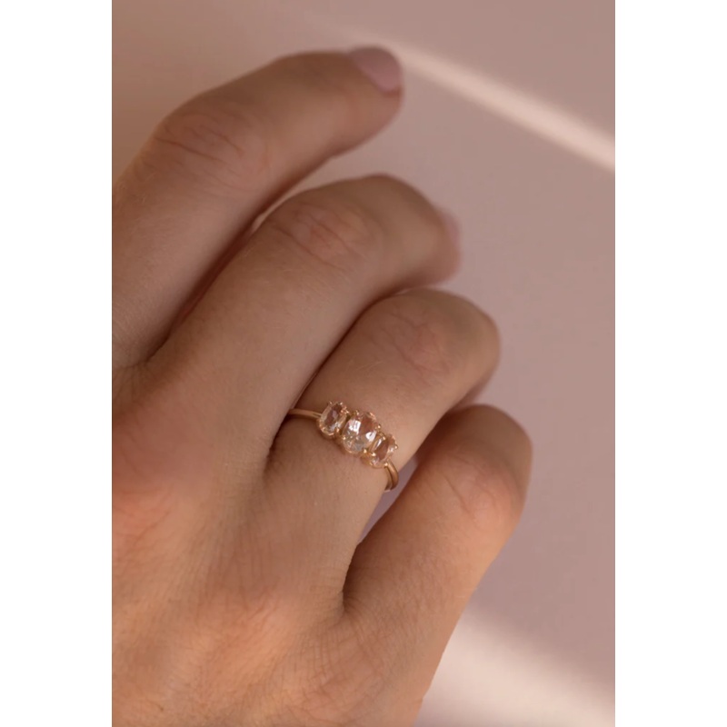 Bijou Morganite Ring | 14K Gold
