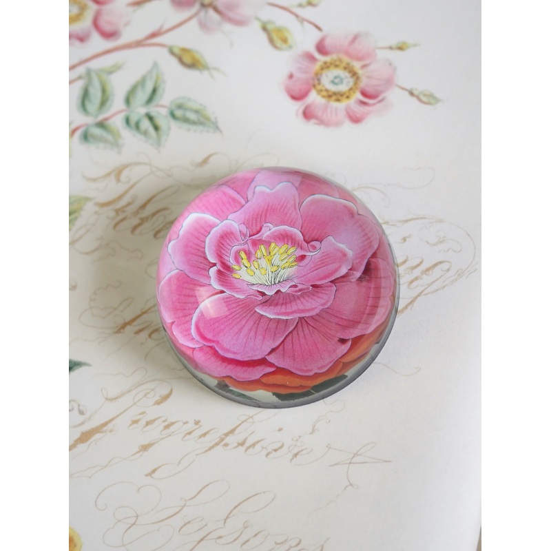 Camellia Dome Paperweight