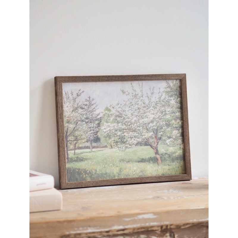 Cherry Blossom Trees Framed Canvas Print