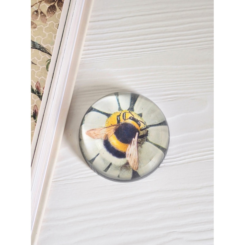 Fuzzy Bee (Green Daisy) Dome Paperweight