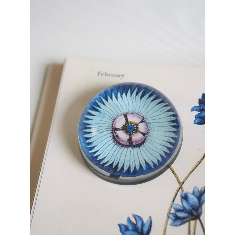 Napoleona Dome Paperweight