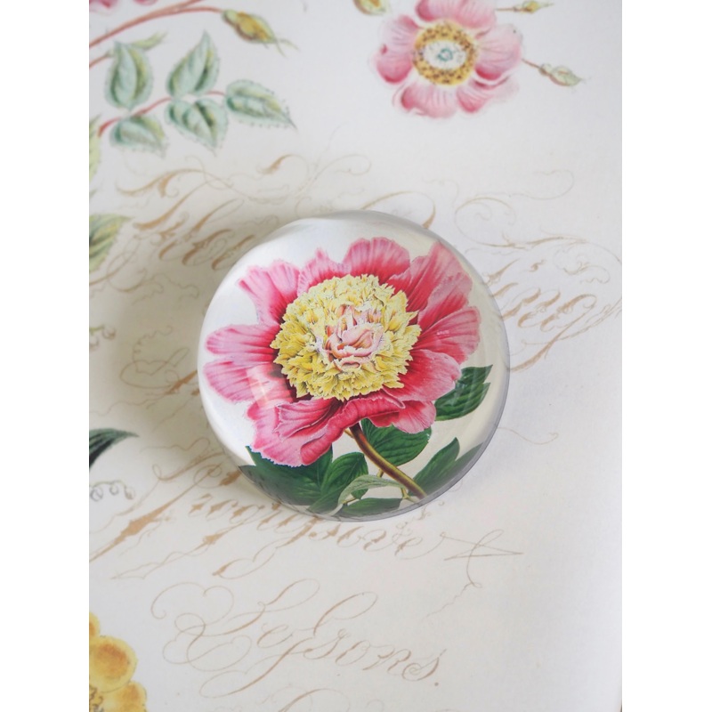 Peony Albifl Dome Paperweight