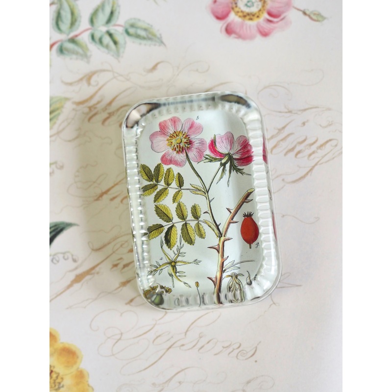 Rosa Canina Dotted Edge Rect. Paperweight