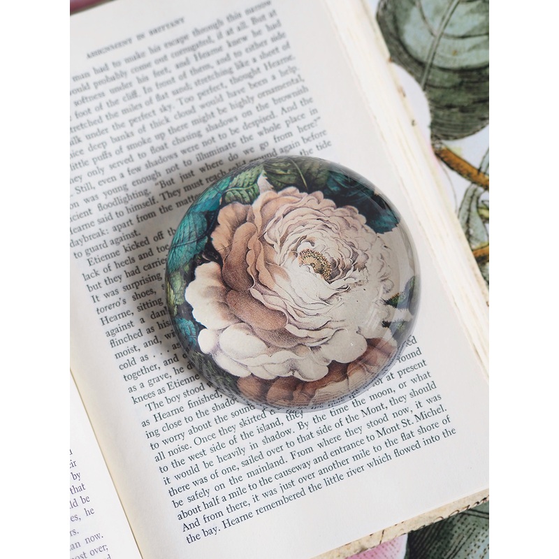 Sepia Rose Dome Paperweight
