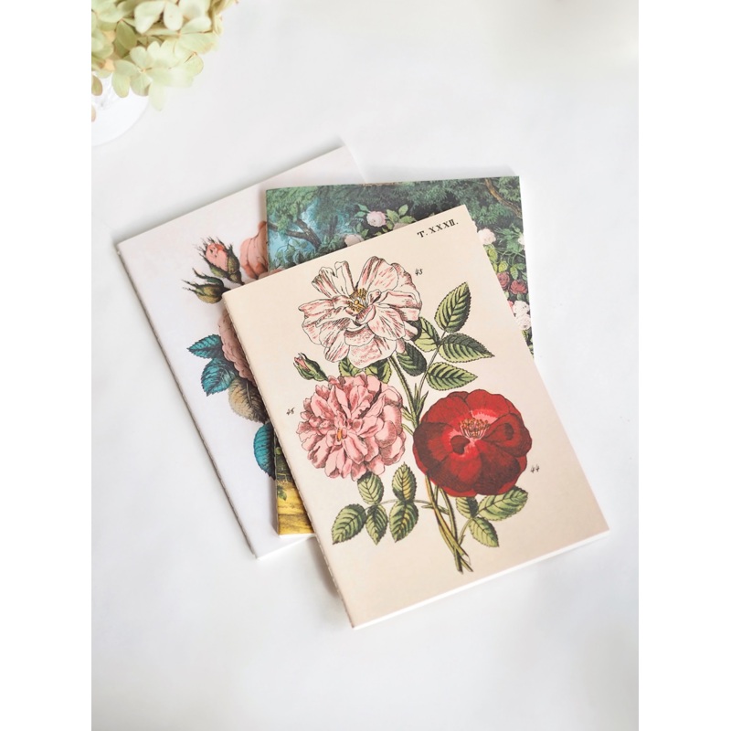 John Derian Paper Goods: Everything Roses Notebooks | Set of 3