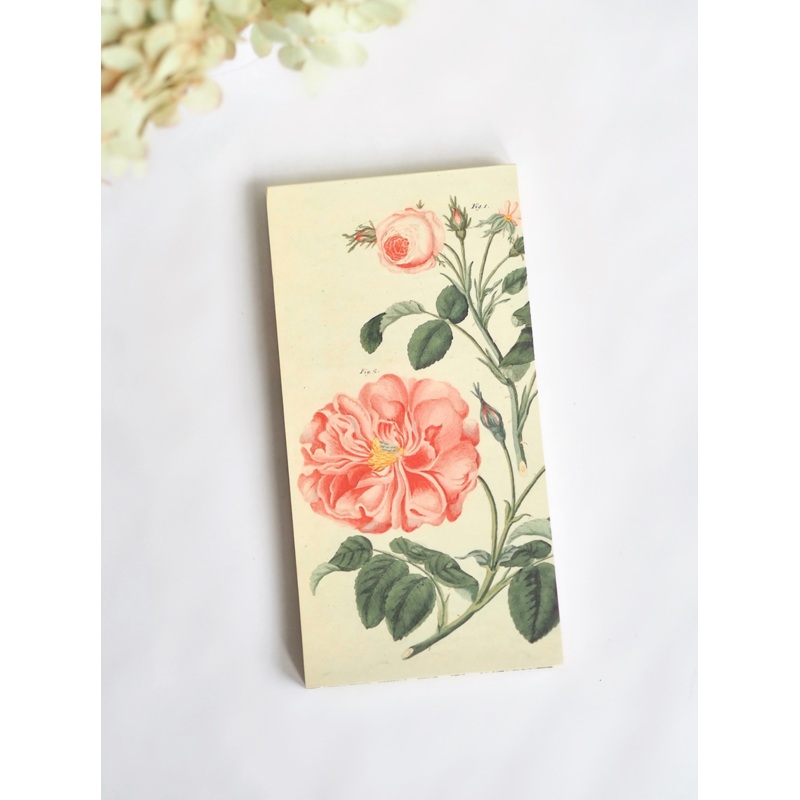 John Derian Paper Goods: Everything Roses Notepad