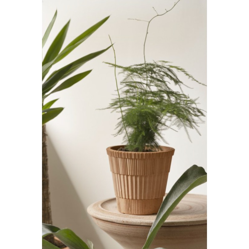 Atlas Pot 21cm / 8