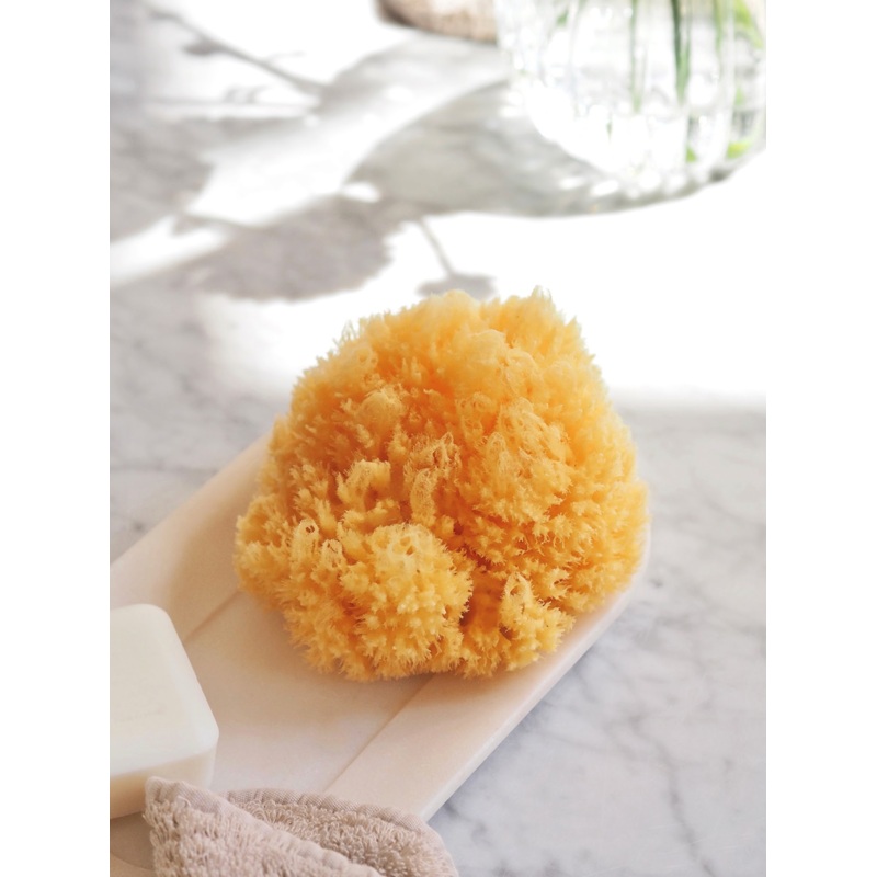 Natural Sea Sponge