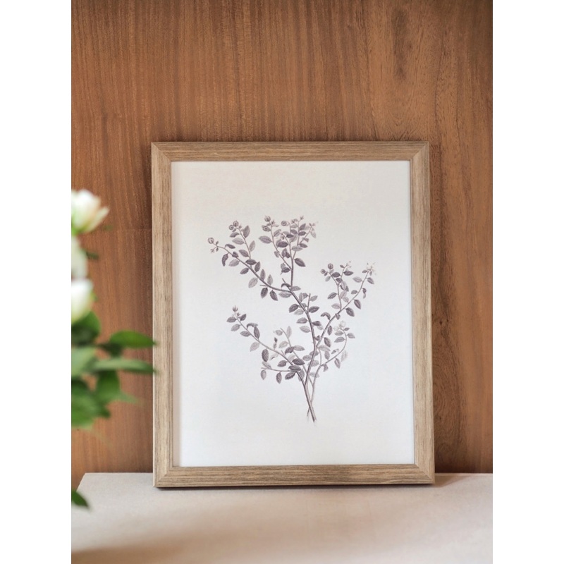 Botanical Sketch Framed Canvas Print | 11×14
