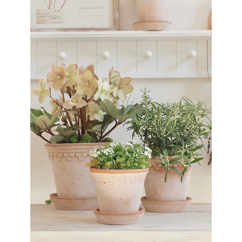 Copenhagen Pot