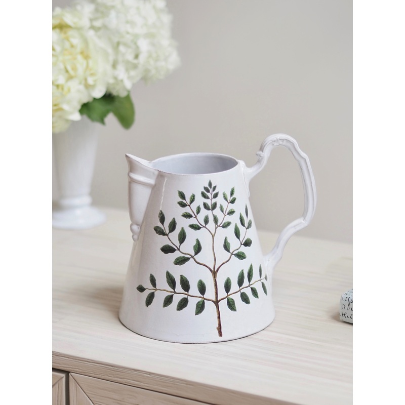 Indigofera Colutea Pitcher