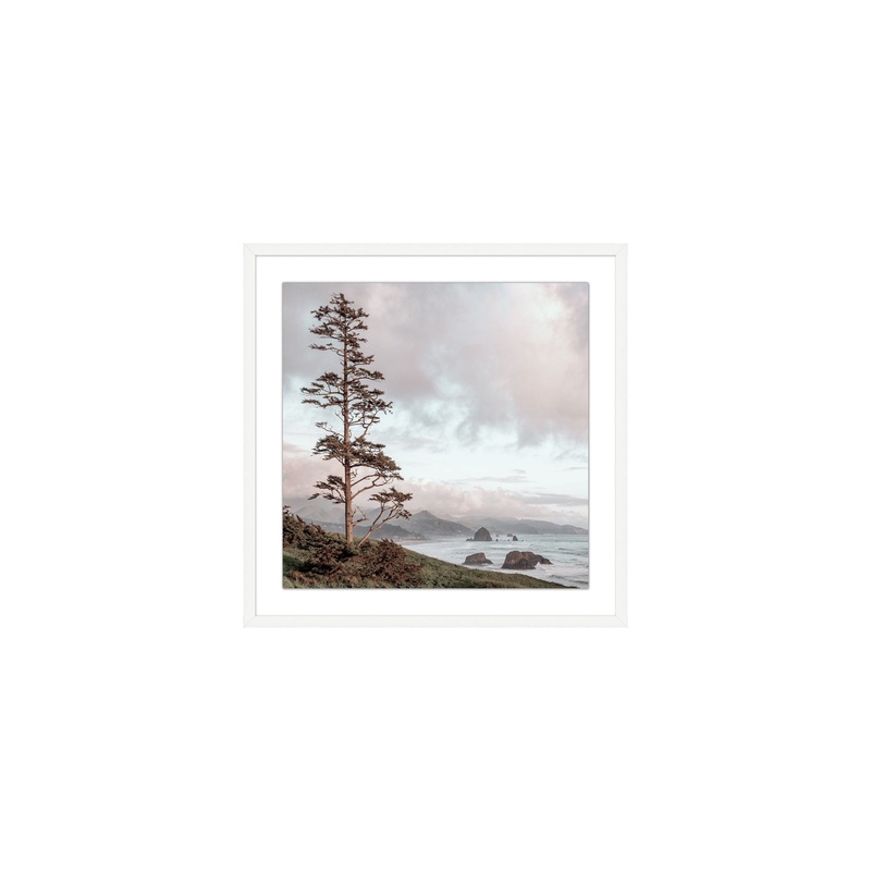 Northwest Fir Matte White Frame | 37.75 x 37.75