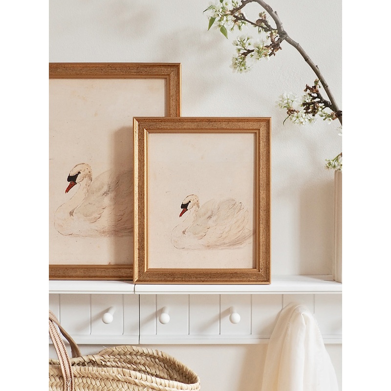 White Swan Framed Canvas Print