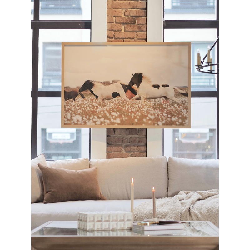 Wildflower Stallions Wood Frame | 47.5 x 31.5