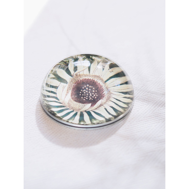 Carlina Acaulis Dome Paperweight