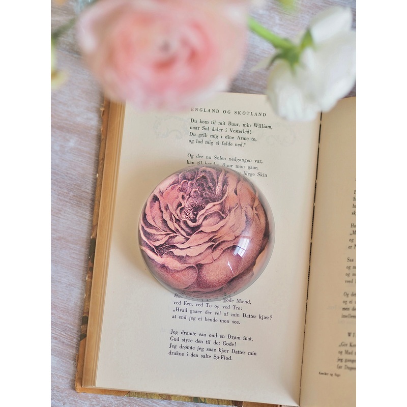 Rose of May Dome Paperweight