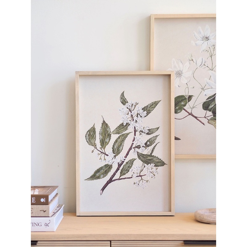 Houi Framed Print 19×13