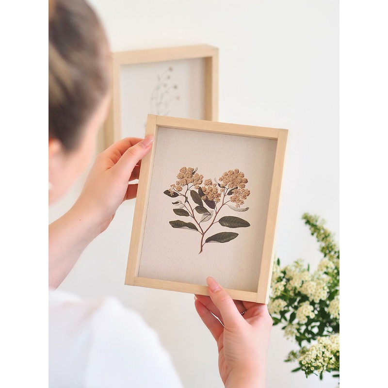 Pomaderris Framed Print 8.5×7