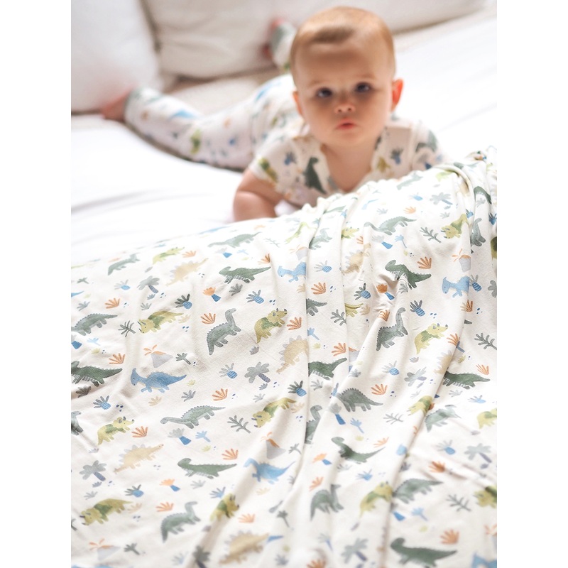 Soft Dinos Swaddle Blanket