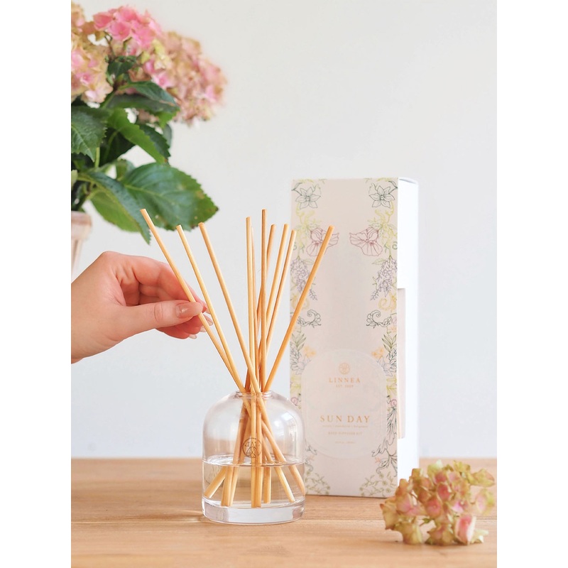 Sun Day Diffuser Kit