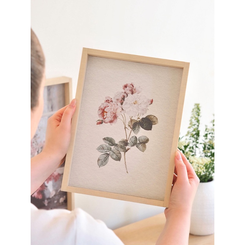 Watercolour Rose Framed Print 12×9