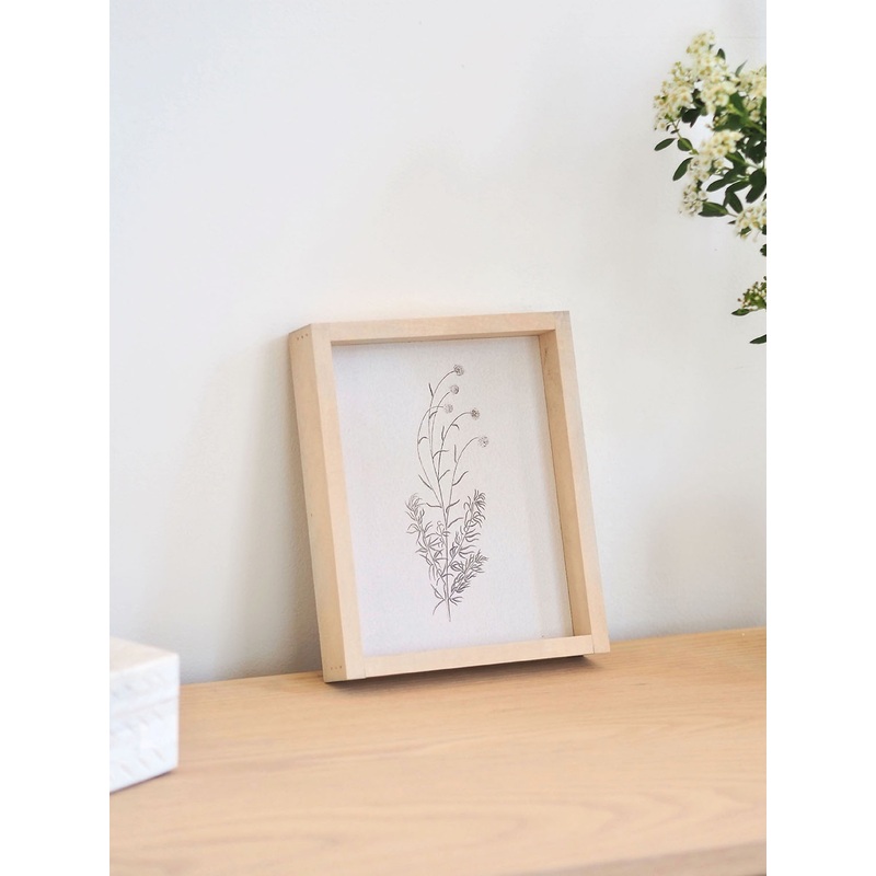 White Scabious Framed Print 8.5×7