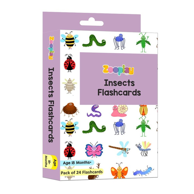 Insects & Other Small Animals Flashcards – Pack of 24