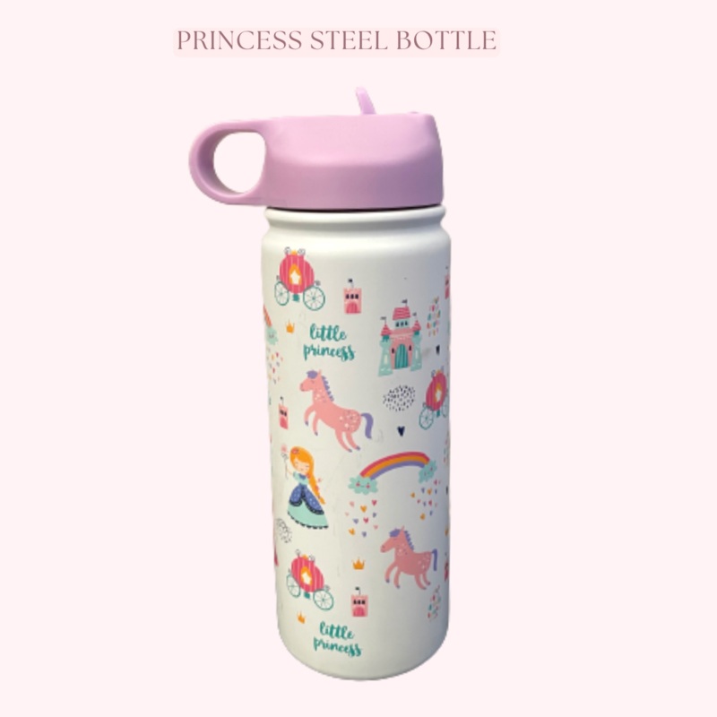 Insulated Steel Water Bottle With Straw- 475 ML – Little Princess