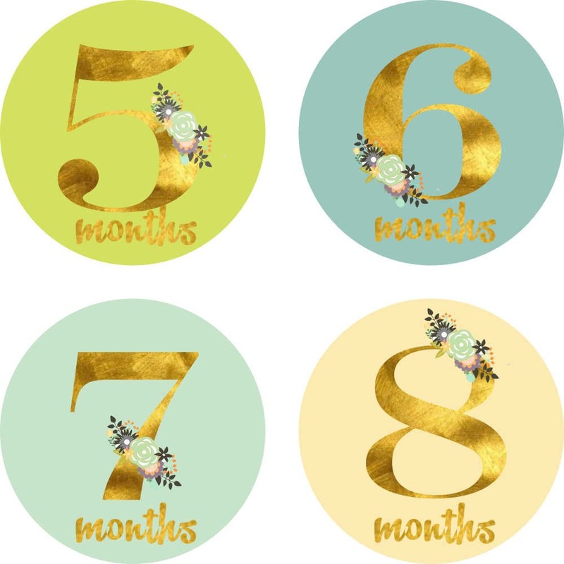 Monthly Milestone Stickers – Floral Theme