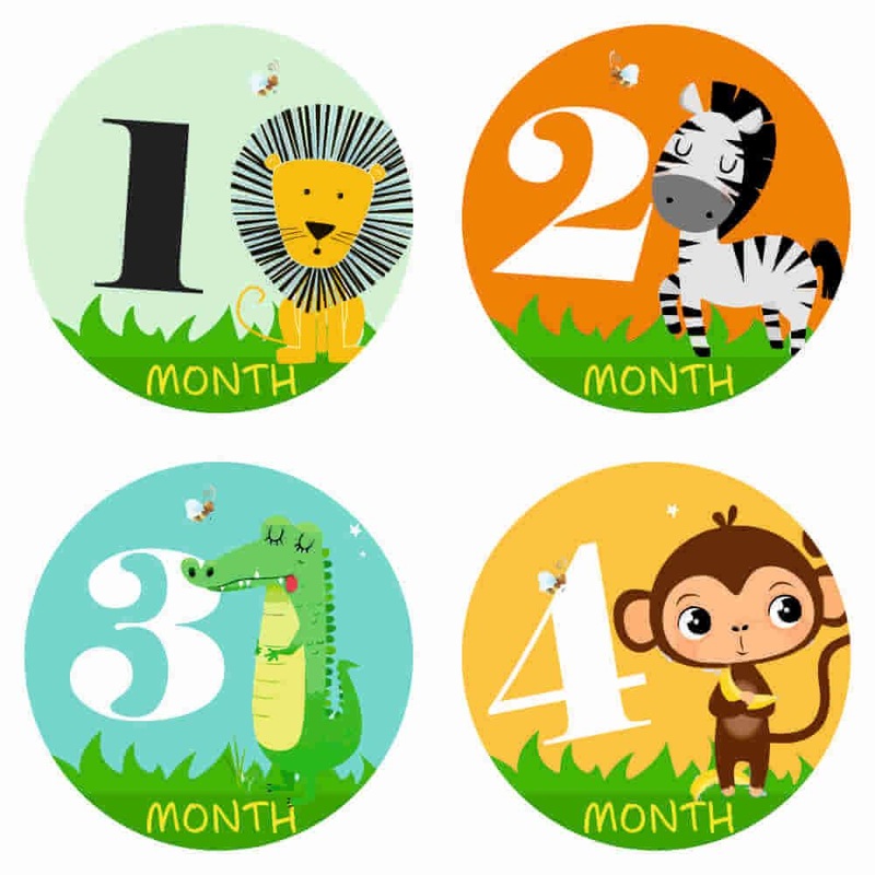 Monthly Milestone Stickers – Safari Theme