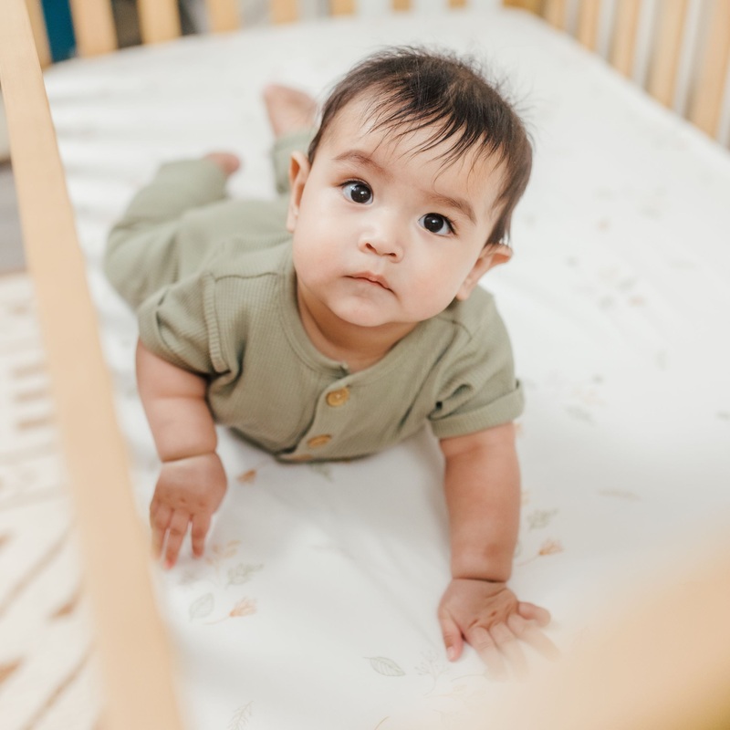 Crane Baby Crib Sheet Dainty Leaf Willow Collection – Cream