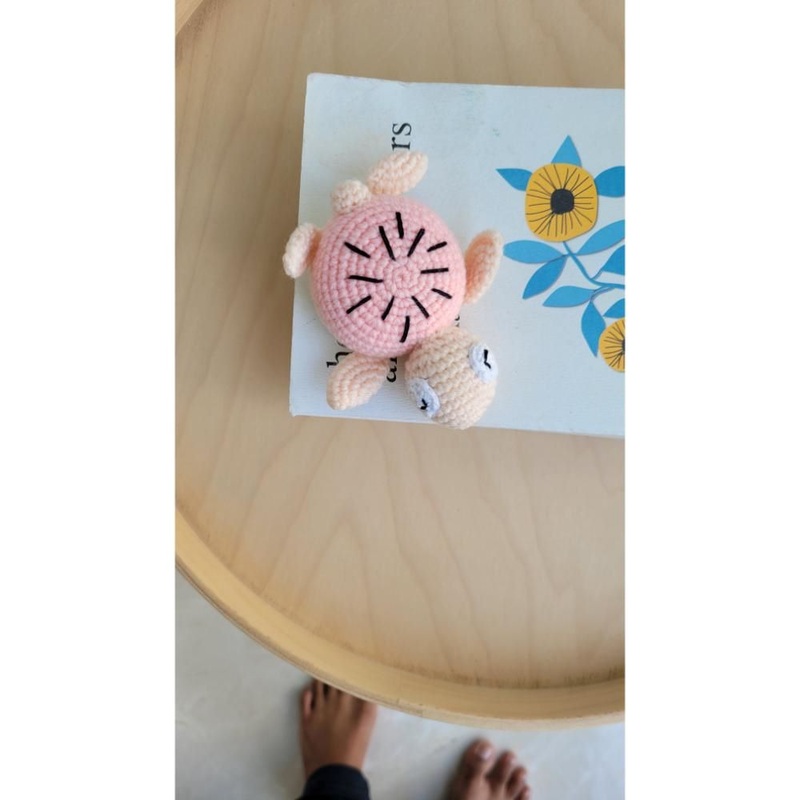 Crochet Blush Turtle