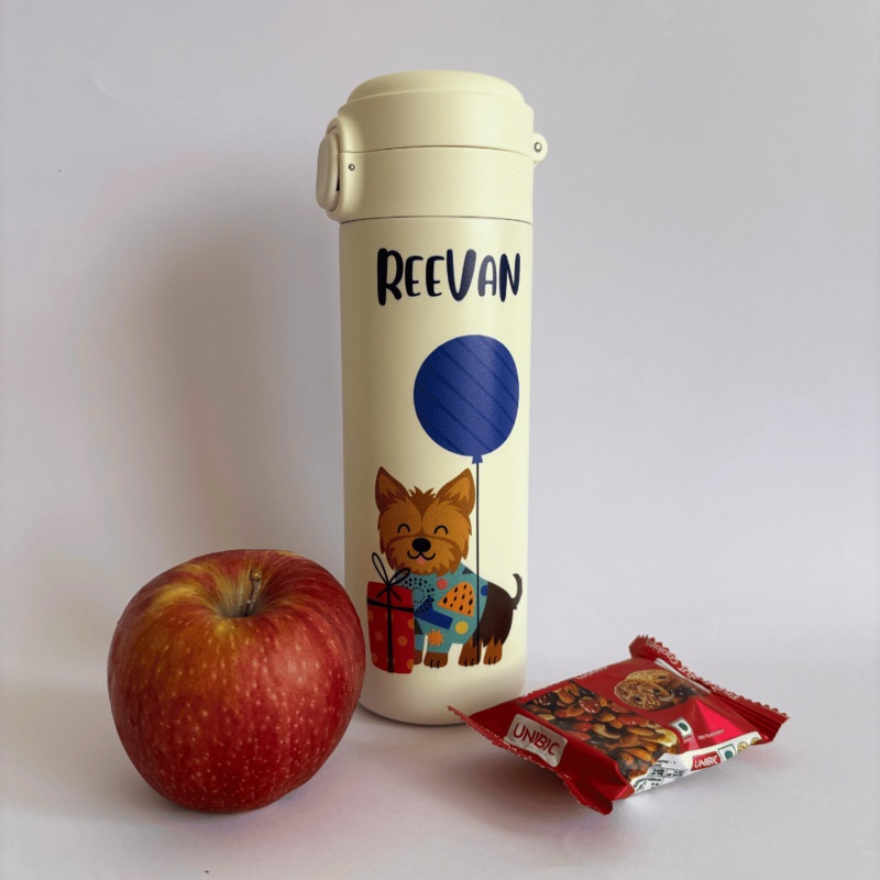 Hot Air Balloons Water Bottle – Insulated