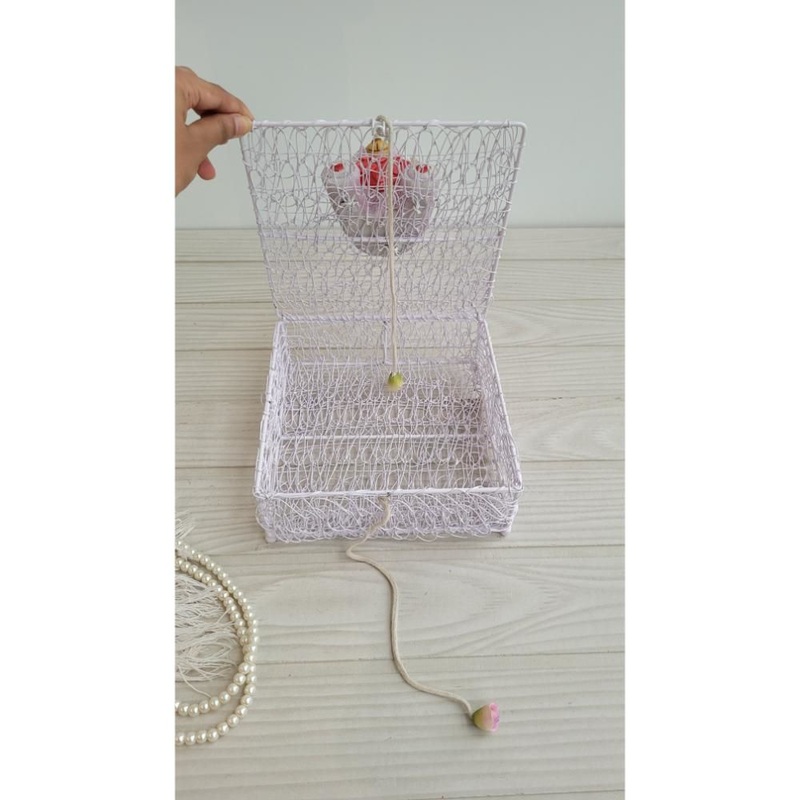 Teddy Meshed Cube