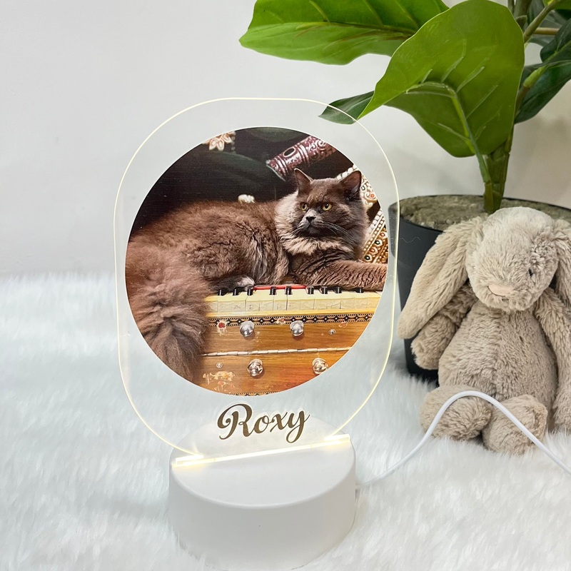 Acrylic LED Night Lamp – Mighty Paws
