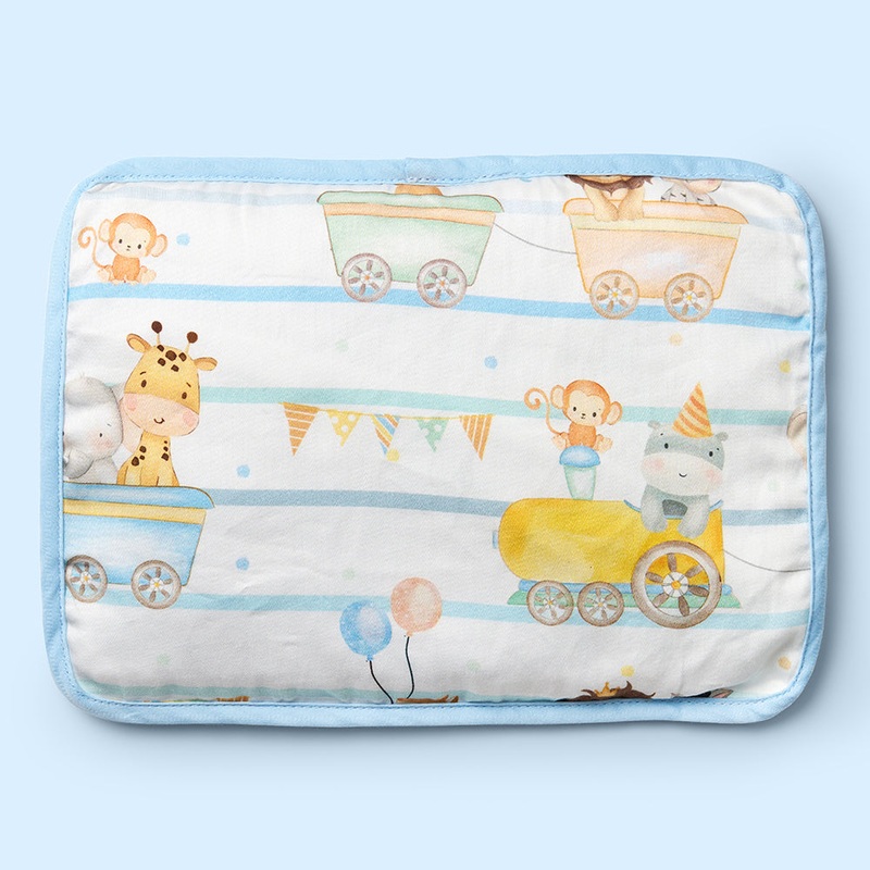 Fancy Fluff Organic Rai Pillow – Joy Ride