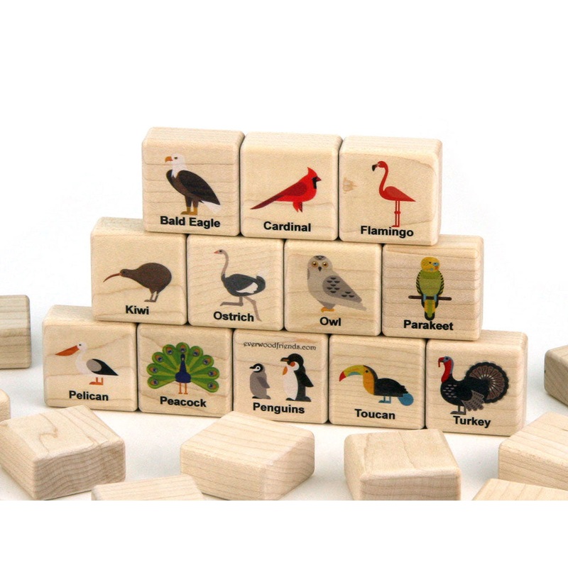 Birds of the World Wooden Matching Game – 24 pc Set