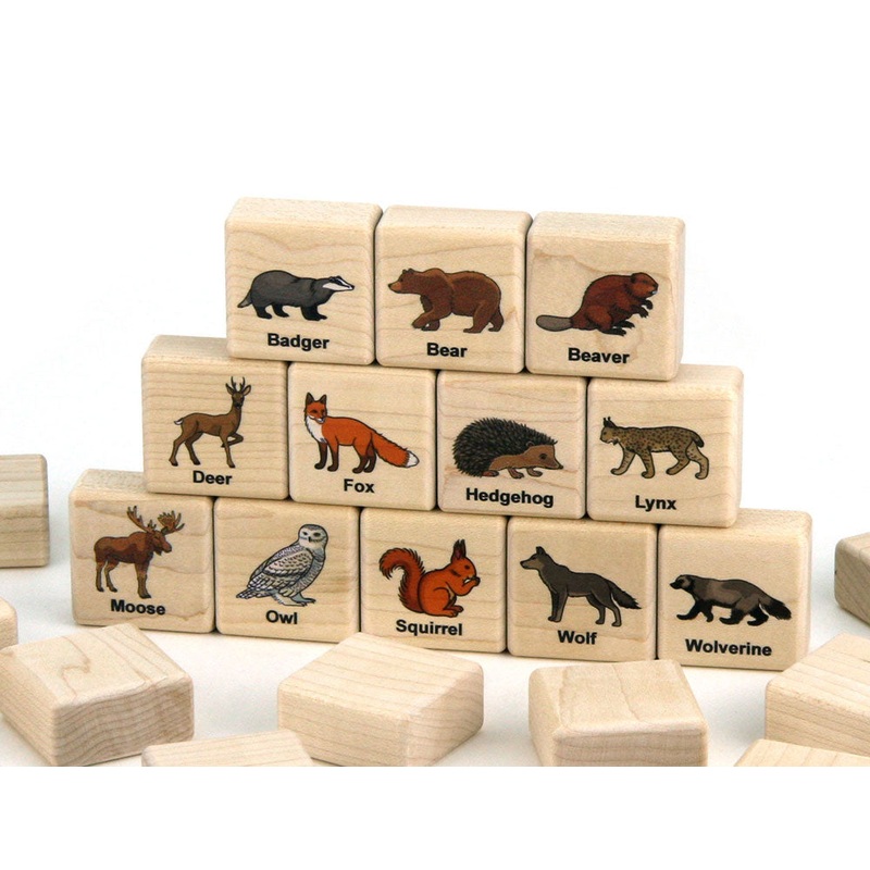 Forest Animals Color Wooden Matching Game – 24 pc Set