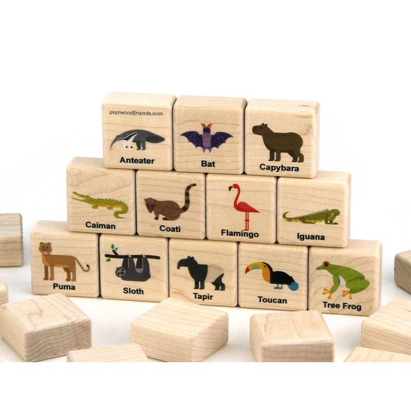 Rainforest Animals Wooden Matching Game – 24 pc Set