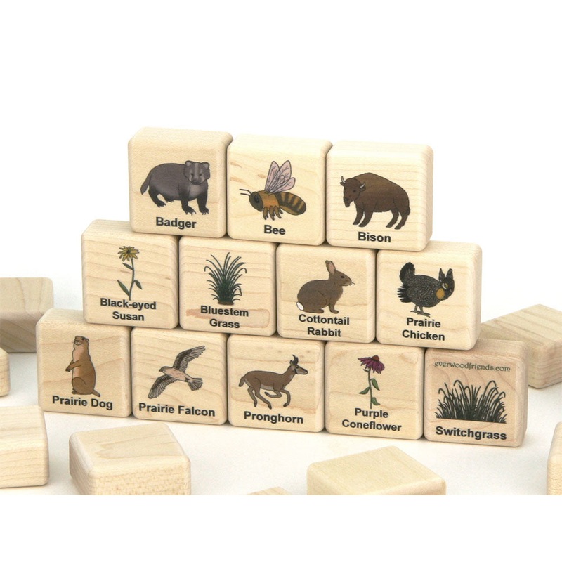 American Prairie Wildlife Wooden Matching Game – 24 pc Set
