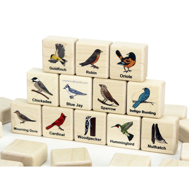Backyard Birds Wooden Matching Game – 24 pc Set
