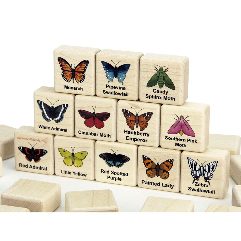 Butterflies & Moths Wooden Matching Game – 24 pc Set