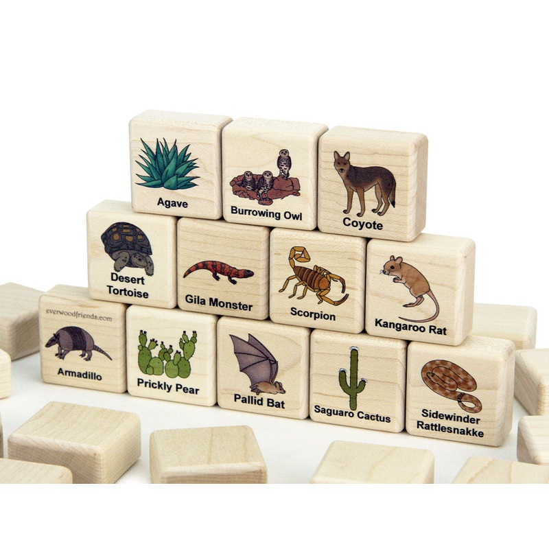 Desert Plants & Animals Wooden Matching Game – 24 pc Set